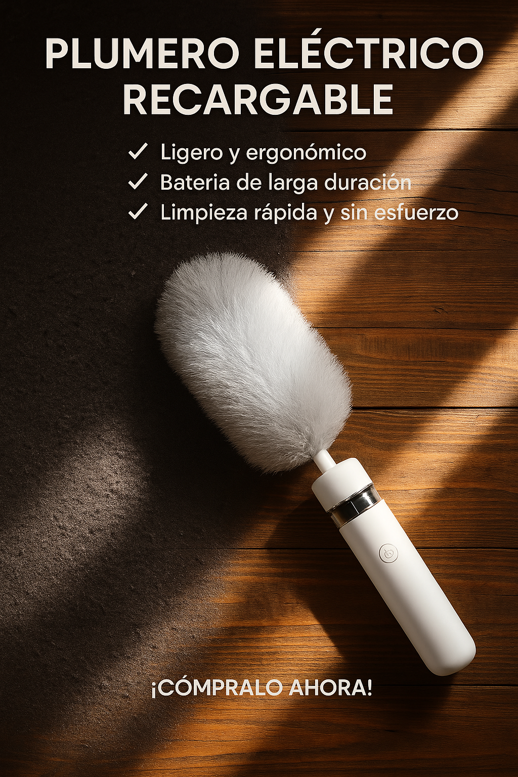 Plumero Electrico Limpieza