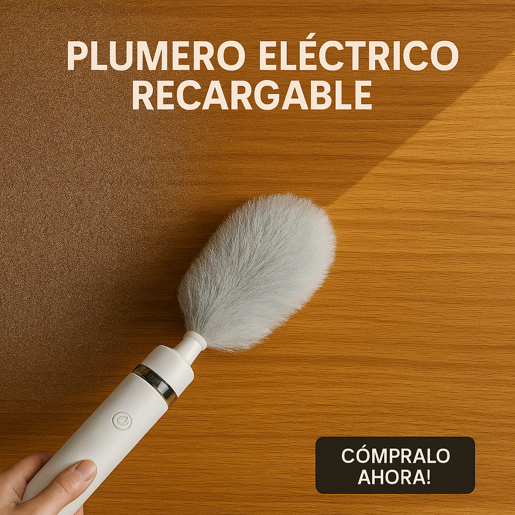 Plumero Electrico Limpieza