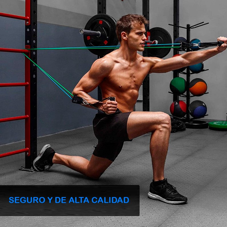 Bandas De Entrenamiento PD08