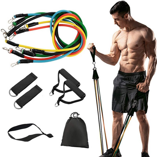 Bandas De Entrenamiento PD08