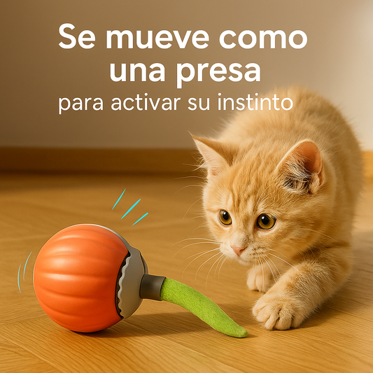Nueva Pelota Inteligente con Cola para Gatos