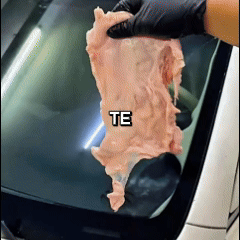 Nueva Esponja ANTI Empañante VISION CAR