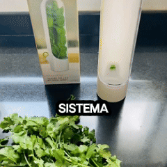 Conservador de Vegetales