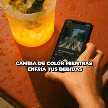 Nueva Hielera con Parlante